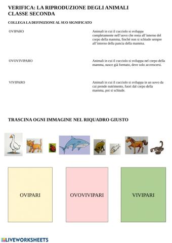 Riproduzione animali