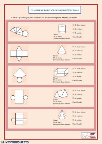 Planificação de Sólidos geométricos - 6.3