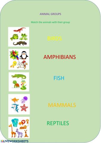 Animal groups