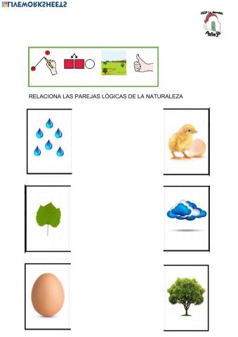 Parejas lógicas de la naturaleza