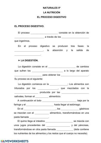 El proceso digestivo