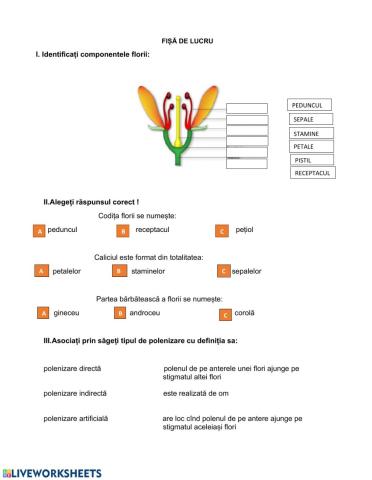 Structura florii