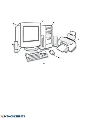 Partes de la computadora