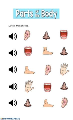 Beginning Sounds