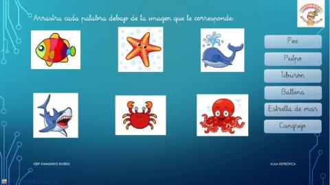 Vocabulario animales marinos