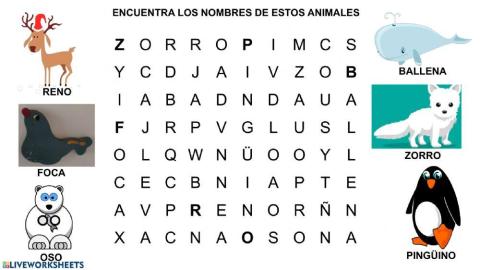 Animales del Polo