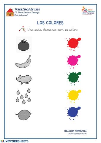 Los colores