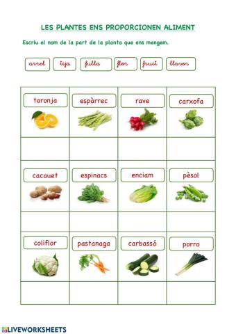 Les plantes ens alimenten