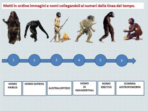 Scheda 1 Evoluzione dell'uomo