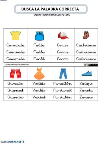 Busca la palabra correcta (ropa minuscula)