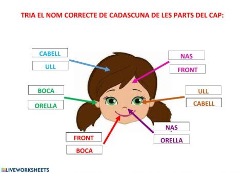 Busca  el nom correcte