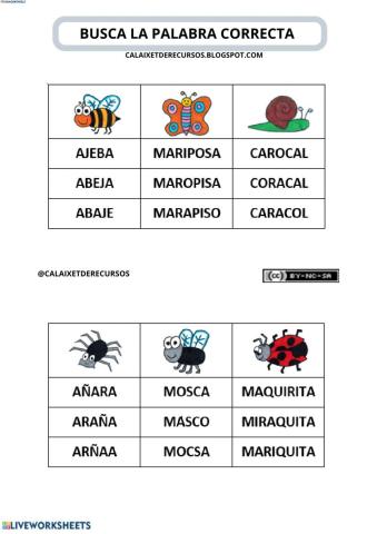 Busca la palabra correcta mayúscula