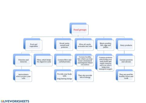 Unit 2 Food groups Scheme