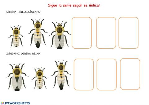 Serie abejas