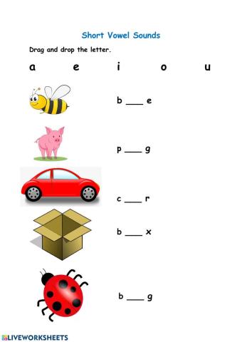 Short Vowels Sound