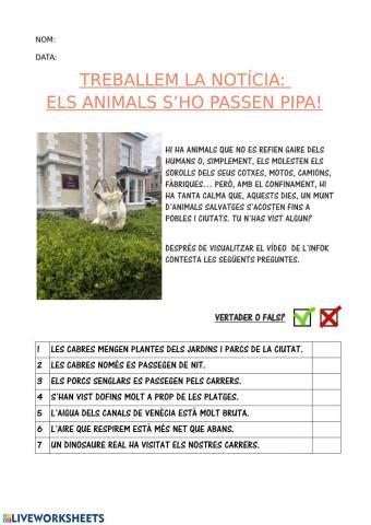 Els animals s'ho passen pipa!