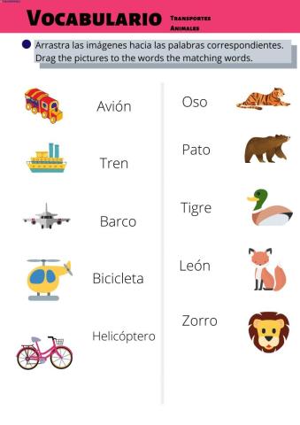 Vocabulario. Transportes y animales