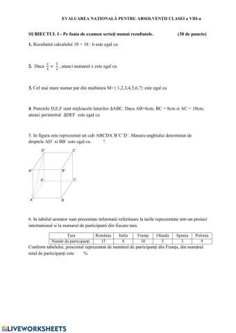 Evaluare Nationala