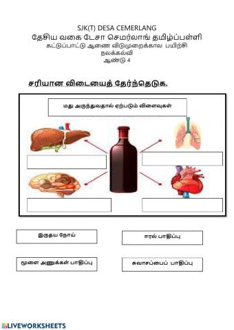 மது அருந்துவதால் ஏற்படும் விளைவுகள் - ஆண்டு 4