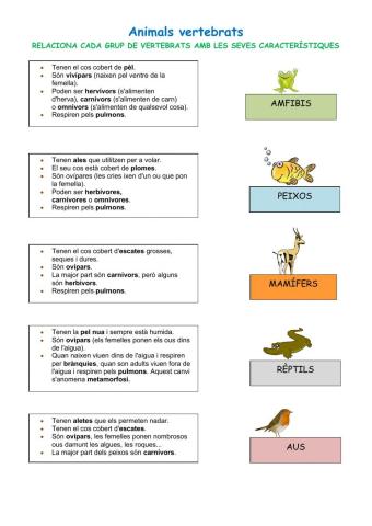 Animals vertebrats