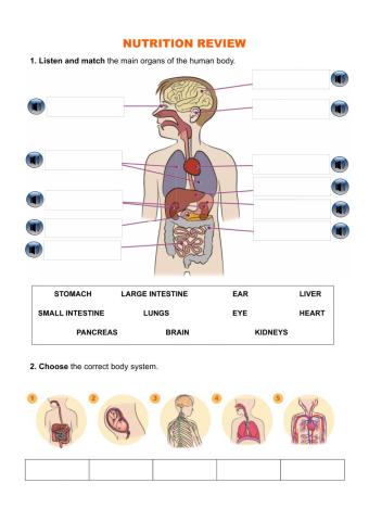 Nutrition review