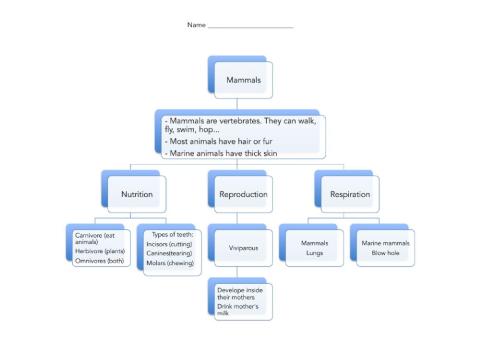 Mammals Scheme