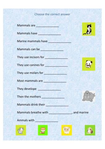 Mammals Activity