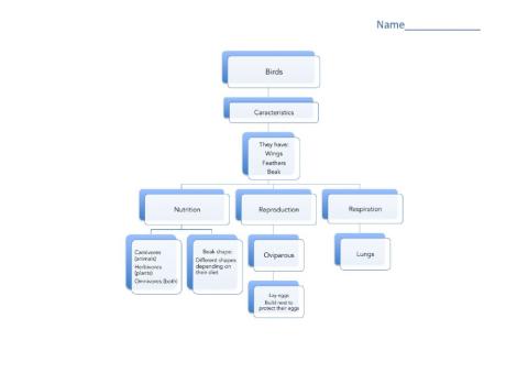 Unit 4 Birds Scheme