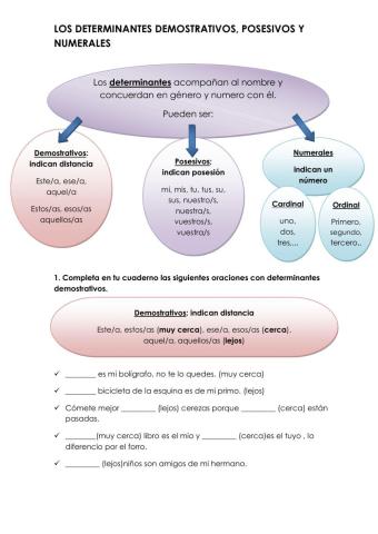 Determinantes posesivos, demostrativos y numerales