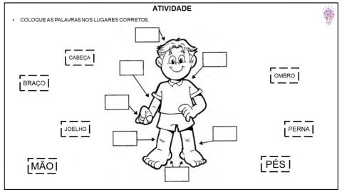 Partes do Corpo (2)