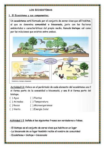 Ecosistema