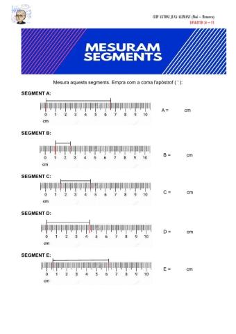 Mesuram segments