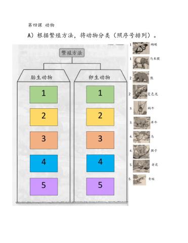 二年级科学第四课 动物