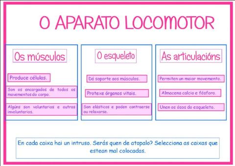 O aparato locomotor