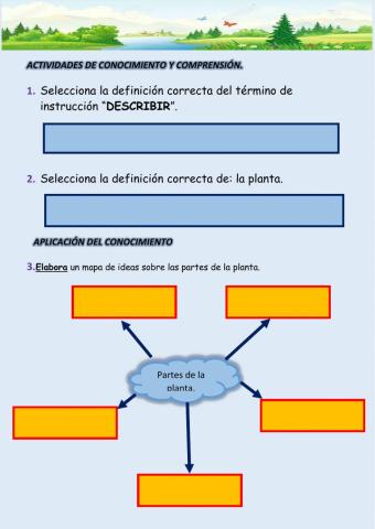 Bioacción (1,2,3)