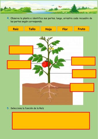 Bioacción (4,5)