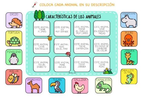 Animales: comprensión y descripciones