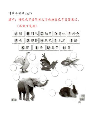 科学活动本 pg23