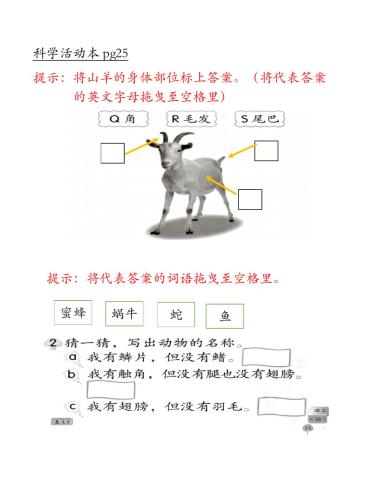 科学活动本 pg25