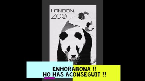 Enhorabona