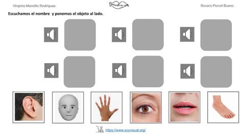 Vocabulario partes del cuerpo 1 con  audio