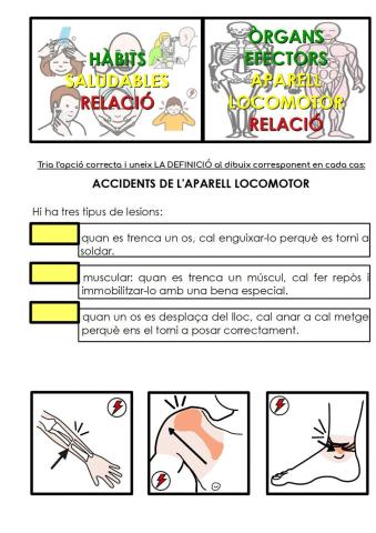 Malalties de l'aparell locomotor