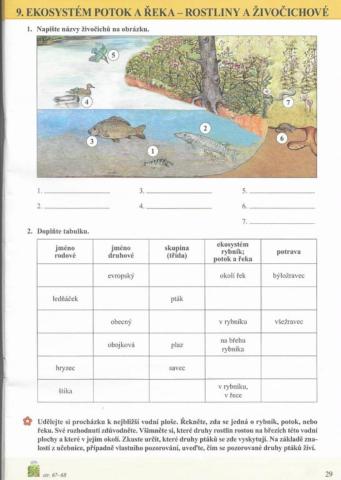Ekosystém potok a řeka - živočichové