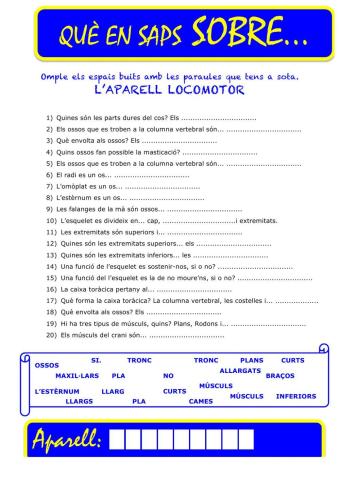 Que saps sobre... Aparell Locomotor-Preguntes 02