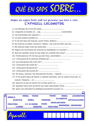 Que saps sobre... Aparell Locomotor-Preguntes 03