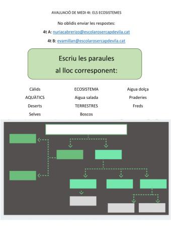 AVALUACIÓ MEDI: Els Ecosistemes