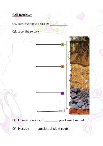 Soil review