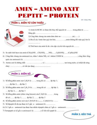 Amin Aminoaxit Peptit Protein