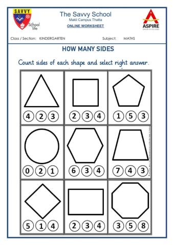 Savvy KG Math 02