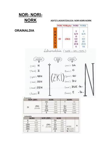 Aditzak NOR-NORI-NORK orainaldia